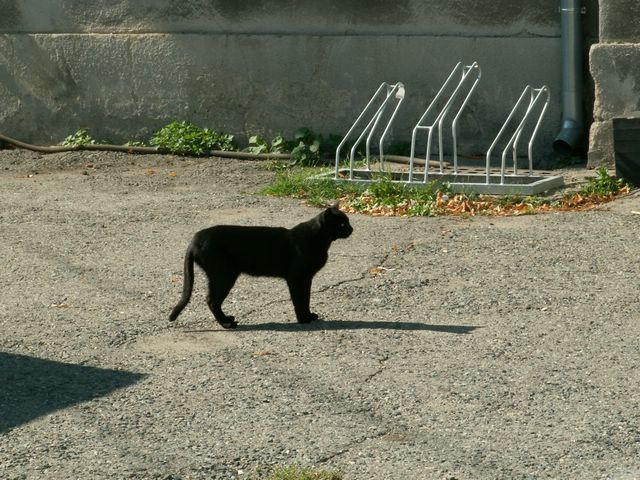060909_PICT0128.JPG