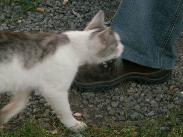 060909_PICT0132.JPG