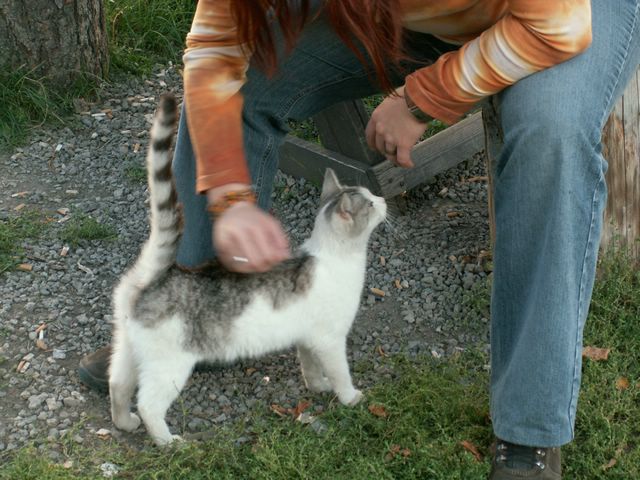 060909_PICT0133.JPG