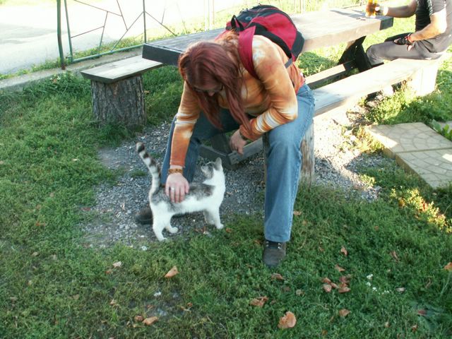 060909_PICT0134.JPG