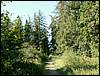 060909_PICT0004.JPG