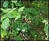 060909_PICT0007.JPG