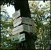 060909_PICT0008.JPG