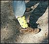 060909_PICT0011.JPG
