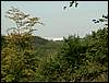 060909_PICT0012.JPG