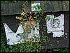 060909_PICT0013.JPG