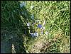 060909_PICT0020.JPG