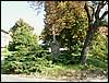 060909_PICT0029.JPG