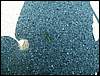060909_PICT0041.JPG