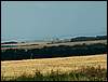060909_PICT0047.JPG