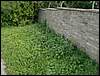 060909_PICT0064.JPG