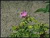060909_PICT0066.JPG