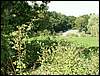 060909_PICT0075.JPG