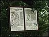 060909_PICT0077.JPG
