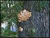060909_PICT0080.JPG