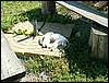 060909_PICT0095.JPG