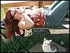 060909_PICT0114.JPG