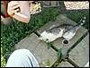 060909_PICT0115.JPG