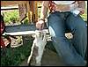 060909_PICT0124.JPG