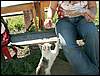 060909_PICT0125.JPG