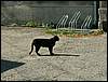 060909_PICT0128.JPG