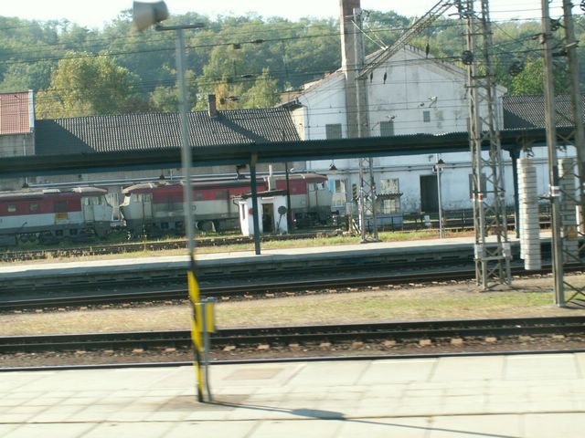 060923_PICT0009.JPG