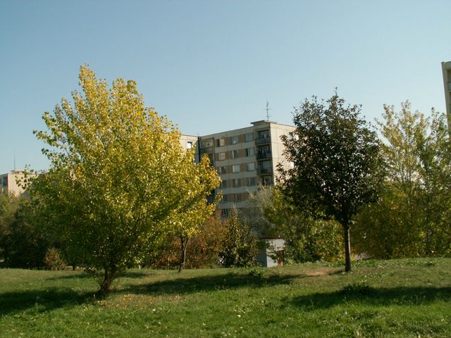 060923_PICT0022.JPG