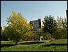 060923_PICT0022.JPG