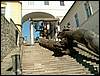 060923_PICT0027.JPG