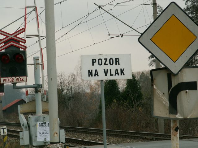 061118_PICT0010.JPG