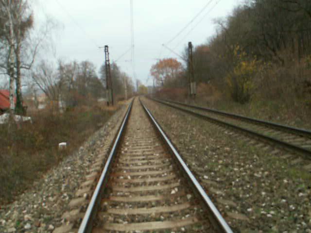 061118_PICT0014v.jpg