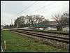 061118_PICT0009.JPG