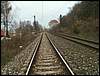 061118_PICT0014v.jpg