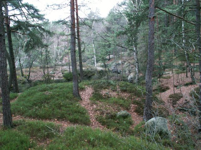 061202_PICT0009.JPG