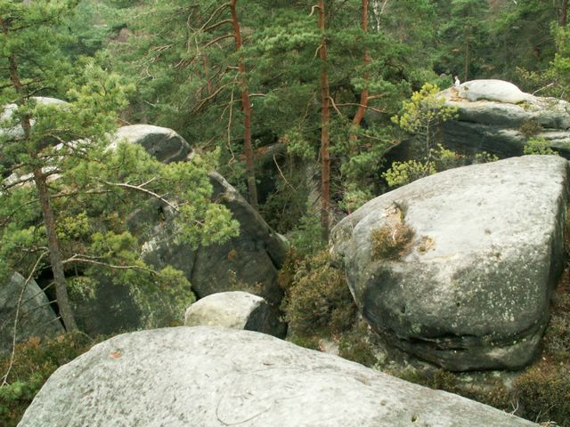 061202_PICT0012.JPG