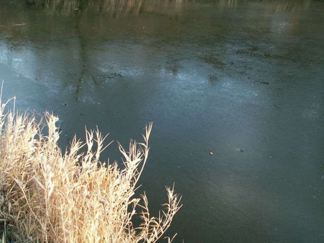 061231_PICT0011.JPG