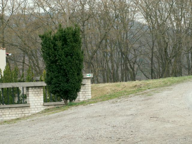070317_PICT0011.JPG