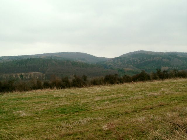 070317_PICT0012.JPG