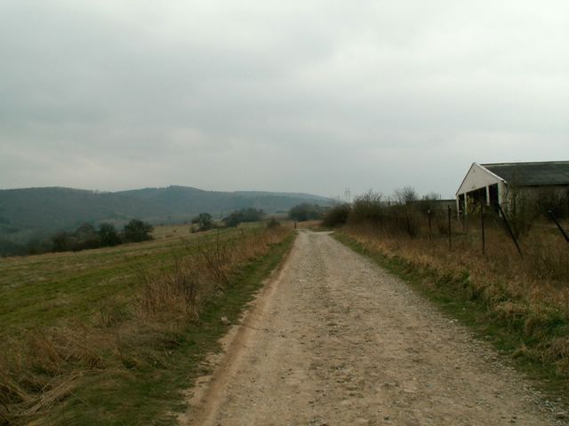 070317_PICT0013.JPG