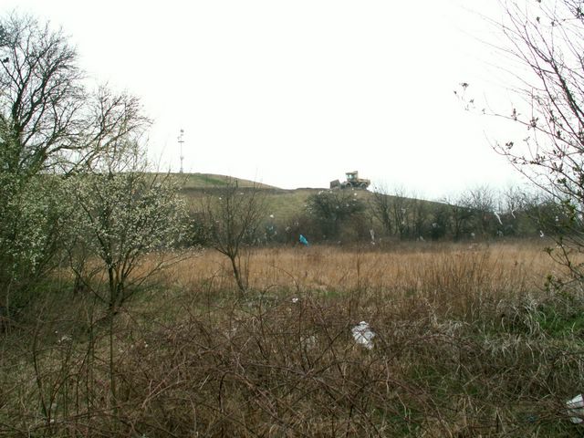070317_PICT0015.JPG