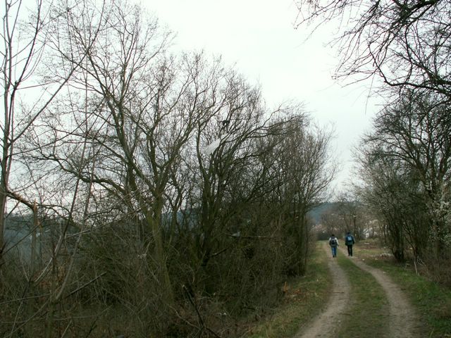 070317_PICT0016.JPG