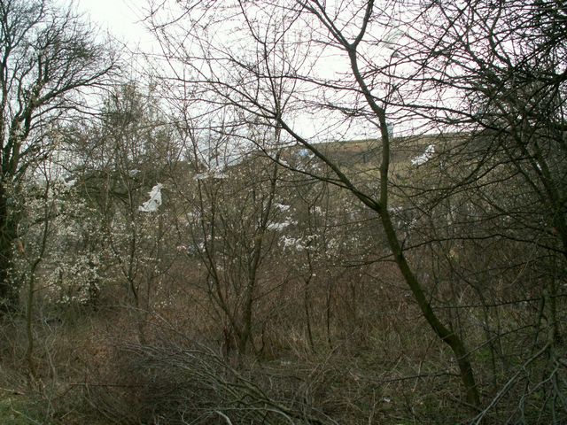 070317_PICT0017.JPG