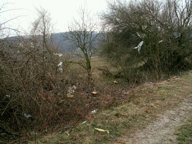070317_PICT0018.JPG