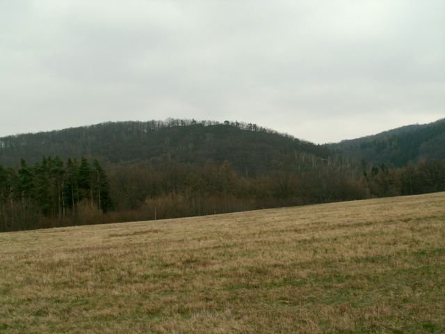 070317_PICT0020.JPG