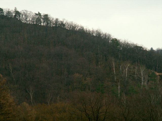070317_PICT0021.JPG