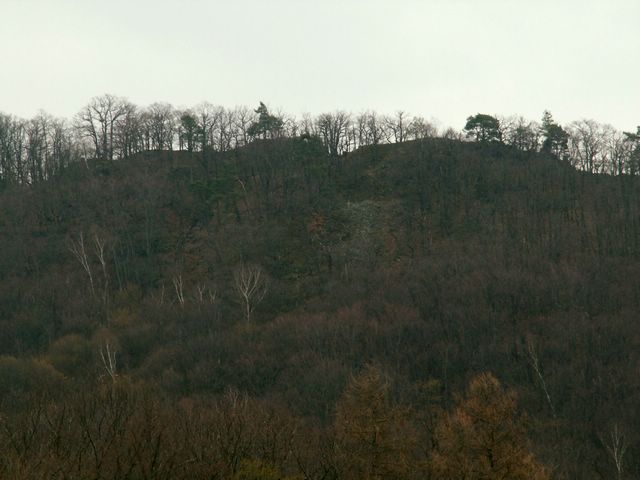 070317_PICT0022.JPG