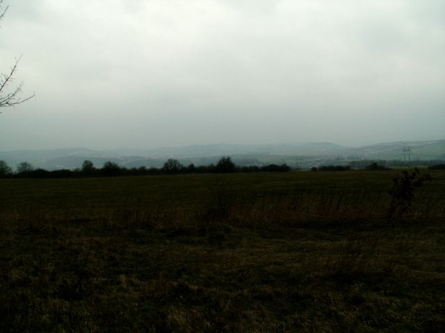 070317_PICT0023.JPG