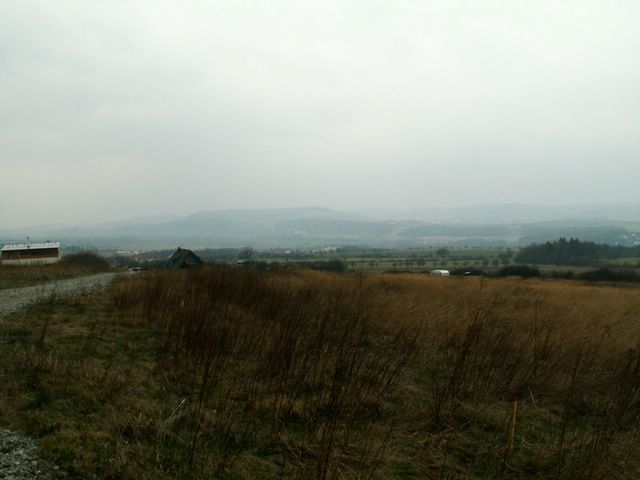 070317_PICT0025.JPG