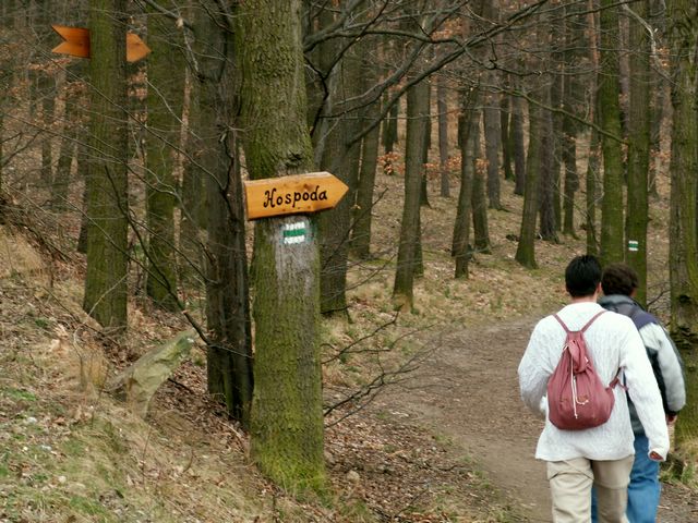 070317_PICT0030.JPG