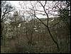 070317_PICT0017.JPG